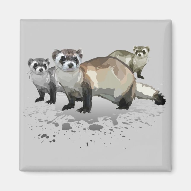 Illrar Magnet (Framsidan)