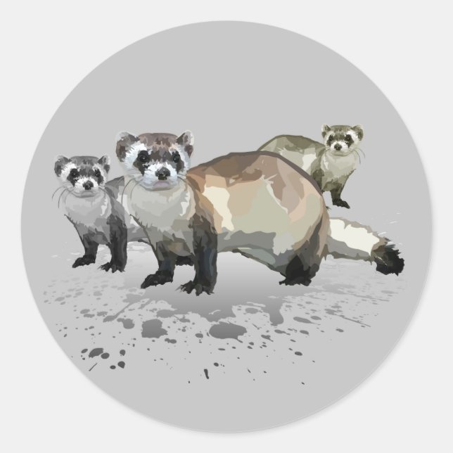 Illrar Runt Klistermärke (Framsida)