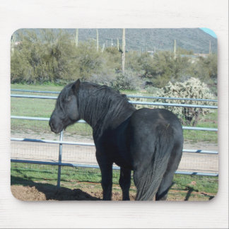 Illusion Percheronen Musmatta