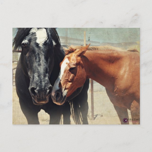 Illusionen & rusar vykort (Framsida)