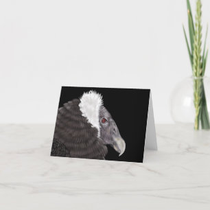 Illustrated Andean Condor Tack Kort