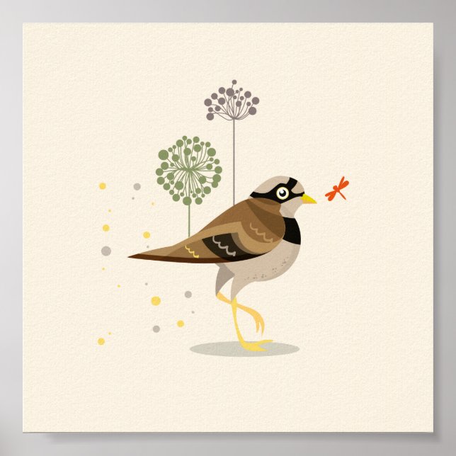 Illustrated Bird under sommaren Poster (Framsidan)