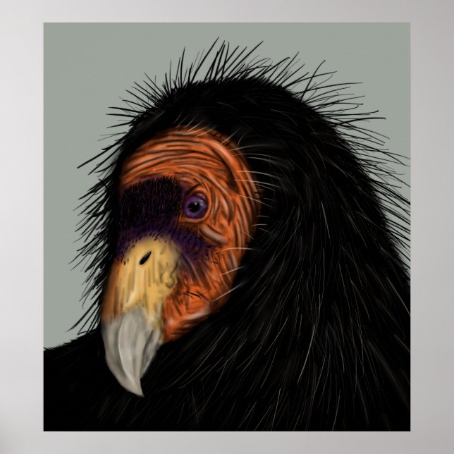 Illustrated California Condor Poster (Framsidan)