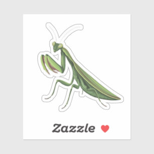 Illustrated Praying Mantis Klistermärken