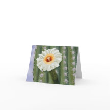 Illustrated Saguaro Cactus White Flower