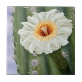 Illustrated Saguaro Cactus White Flower Kakelplatta