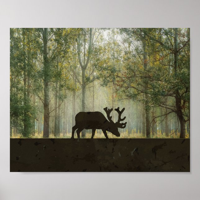 Illustration av älg i skog poster (Framsidan)