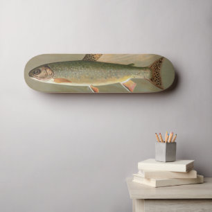 Illustration av American Brook Trout Fish Vintage Mini Skateboard Bräda 18,5 Cm