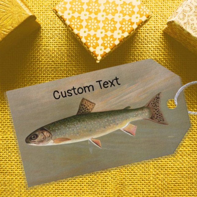 Illustration av American Brook Trout Fish Vintage Presentetikett (Skapare uppladdad)