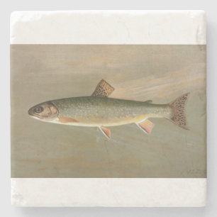 Illustration av American Brook Trout Fish Vintage Stenunderlägg