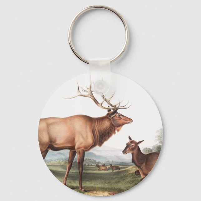 Illustration av amerikansk elk (Cervus Canadensis) Nyckelring (Framsida)
