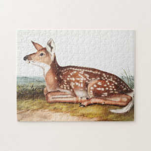 Illustration av amerikansk Hjort (Cervus Virginian Pussel