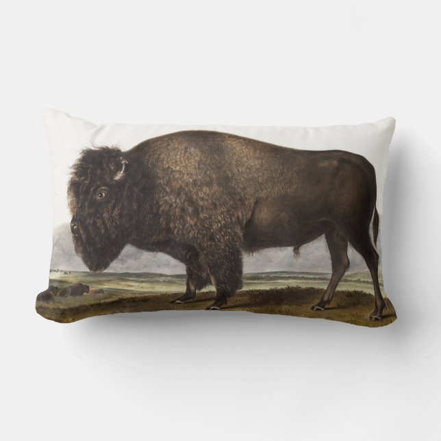 Illustration av amerikanska Bison (Bos Americanus) Lumbarkudde (Framsida)