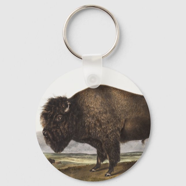 Illustration av amerikanska Bison (Bos Americanus) Nyckelring (Framsida)