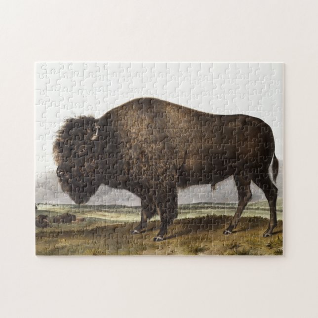 Illustration av amerikanska Bison (Bos Americanus) Pussel (Horisontell)