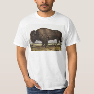 Illustration av amerikanska Bison (Bos Americanus) T Shirt