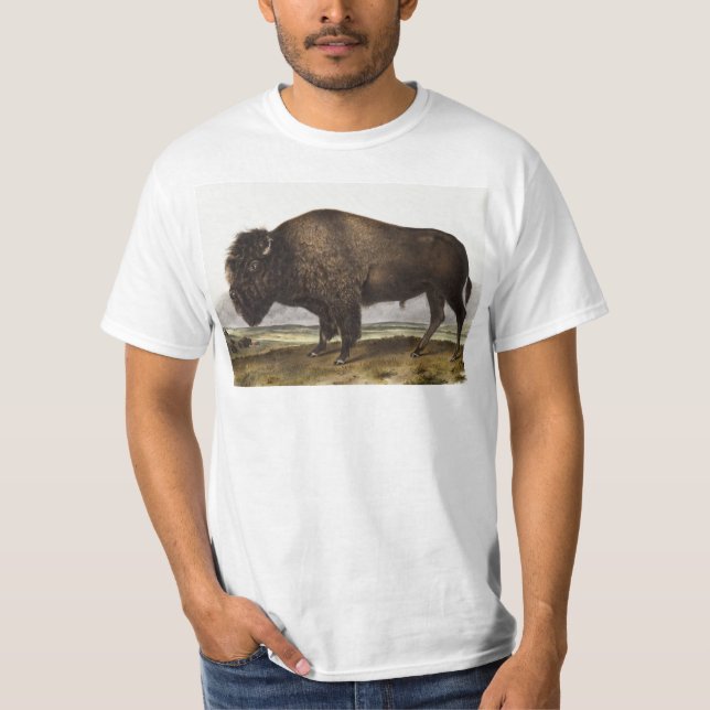 Illustration av amerikanska Bison (Bos Americanus) T Shirt (Framsida)