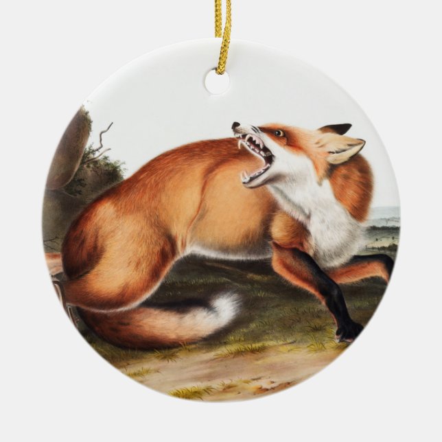 Illustration av amerikanska röda rävar (Vulpes Ful Julgransprydnad Keramik (Framsidan)