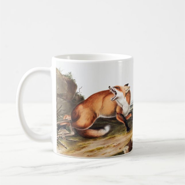 Illustration av amerikanska röda rävar (Vulpes Ful Kaffemugg (Vänster)