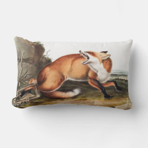 Illustration av amerikanska röda rävar (Vulpes Ful Lumbarkudde