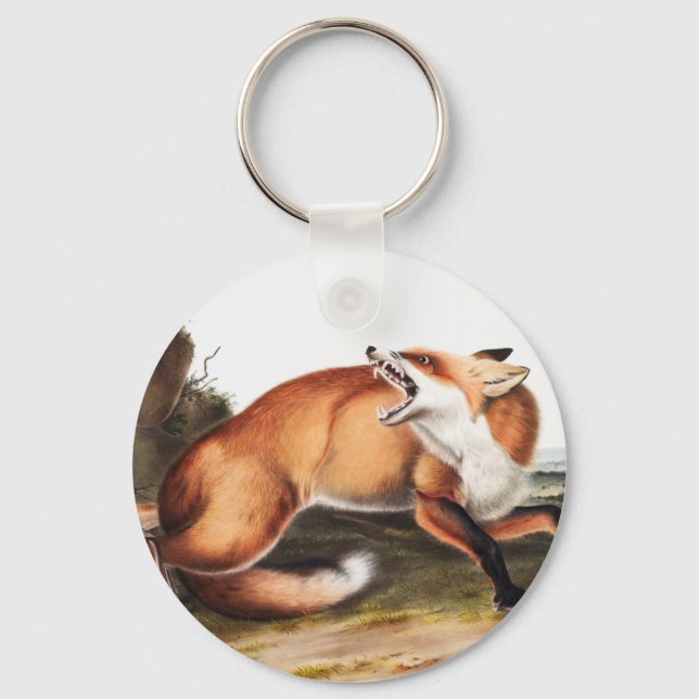 Illustration av amerikanska röda rävar (Vulpes Ful Nyckelring (Framsida)