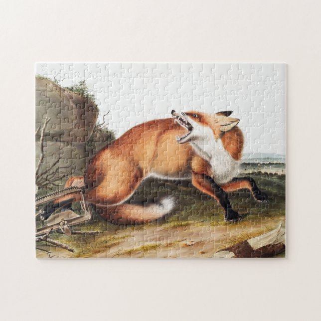 Illustration av amerikanska röda rävar (Vulpes Ful Pussel (Horisontell)
