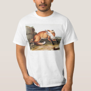 Illustration av amerikanska röda rävar (Vulpes Ful T Shirt