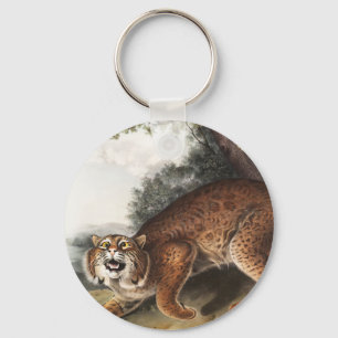 Illustration av amerikanska vild katt (Lynx rufus) Nyckelring