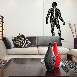 Illustration av anatomi i humant nervsystem poster