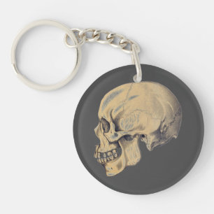 Illustration av anatomi vintage Skull