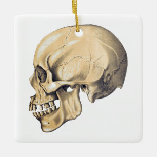 Illustration av anatomi vintage Skull Julgransprydnad Keramik