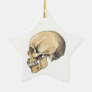 Illustration av anatomi vintage Skull Julgransprydnad Keramik