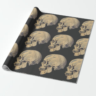 Illustration av anatomi vintage Skull Presentpapper