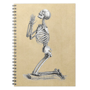 Illustration av Anatomy Skeleton Anteckningsbok Med Spiral