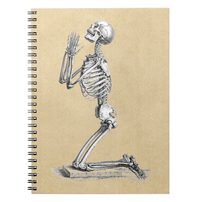 Illustration av Anatomy Skeleton Anteckningsbok Med Spiral (Framsidan)