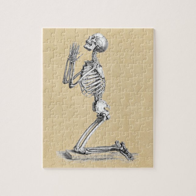 Illustration av Anatomy Skeleton Pussel (Vertikal)