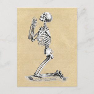 Illustration av Anatomy Skeleton Vykort