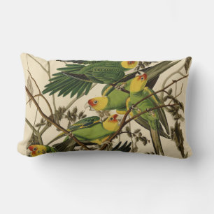 illustration av Audubon Carolina Parrot Bird Lumbarkudde