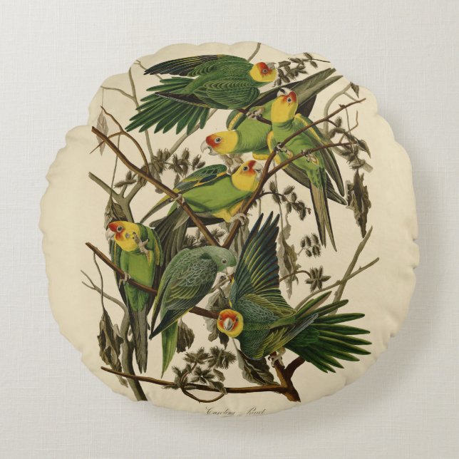 illustration av Audubon Carolina Parrot Bird Rund Kudde (Framsidan)