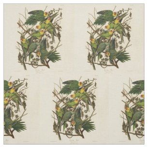 illustration av Audubon Carolina Parrot Bird Tyg