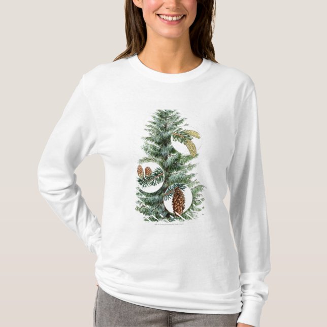 Illustration av barrträd med kottar tee shirt (Framsida)