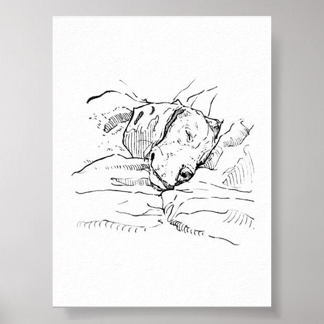 Illustration av Beagle-älskare  Poster (Framsidan)
