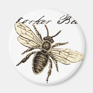 Illustration av Bee-Insekt för arbetare Magnet