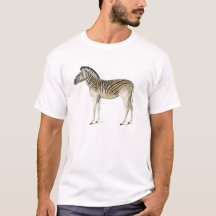 illustration av bergszebra i vintage