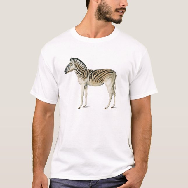 illustration av bergszebra i vintage t shirt (Framsida)