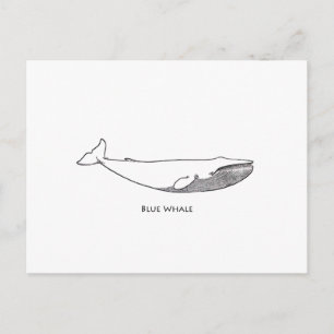 Illustration av blå val (konst) vykort