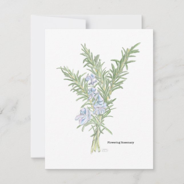 Illustration av blommande rosmarin anteckningskort (Framsida)