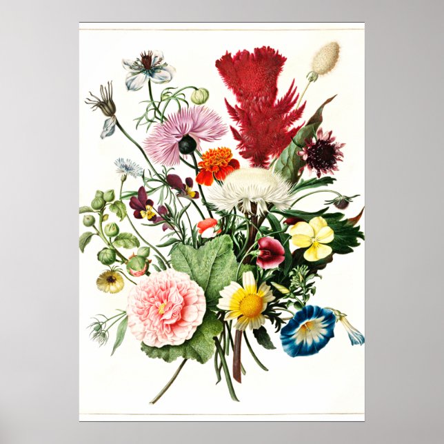 illustration av blommornas vintage poster (Framsidan)