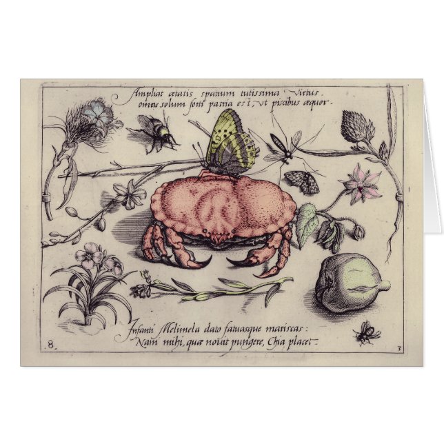Illustration av blomning från krabbbotaniska Insek Hälsningskort (Framsidan Horizontal)