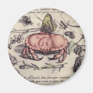 Illustration av blomning från krabbbotaniska Insek Magnet